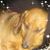Charles Arthur's profile image