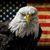 Pat Cichon's profile image