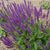 Pam Abner's profile image