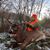 Mitchell Daun's profile image