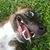 Sally Huynh's profile image
