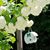Tina Jones Pullen's profile image