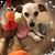 Ann Baert-Sherby's profile image
