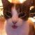 Benay Bullis's profile image