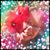Teresa Crush-Warren's profile image