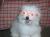 Pegi D.'s profile image