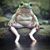Dawn Yost's profile image