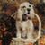 Beckie Uhl's profile image
