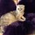 Laura Johnson's profile image
