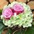 Helga Stauch's profile image