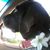 Trudy Harris-Thomas's profile image