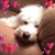 Erin Craig's profile image