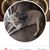 Arleen J-Jones's profile image