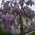 Sandy Haulman's profile image