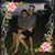 Sarah Foley Minotti's profile image