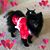 Robin Lazarus Ridge's profile image