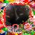 Eugene Davison Jr.'s profile image
