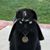 Bud Sample's profile image