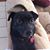 Julie Longfield's profile image