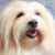 Sara Jane Swayze's profile image