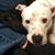 Leslie Lambert's profile image