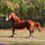 Vikki Castellano Martin's profile image