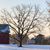 Lindy Wyatt Bradley's profile image