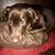 Suzanne DiPasquantonio Zeitler's profile image