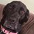 Nikki Warm's profile image