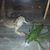 Pamela Butler's profile image