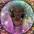 Carli Ward-Zygowicz's profile image