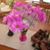 Margaret Auer's profile image