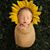 Ennovy Remedios's profile image