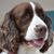 Dawn Sayn's profile image
