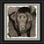 Jazz Mulhern's profile image