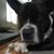 Rebecca Payne Osgood's profile image