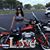 Shannon Lea's profile image