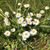 Kristi McNabb's profile image