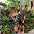 Pam Brown Thomas's profile image