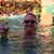 Steve Parker's profile image