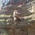 Sarah Waibel's profile image