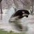 Laura Nadeau Durden's profile image