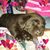 Georgette Cook's profile image