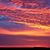 Anita Innamorata Stout's profile image