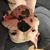 Jodi Cramer's profile image
