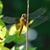Claudia Foutch's profile image