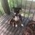 Ryan Elliott Brinch's profile image