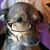 Jody Beskini's profile image