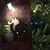 Lainey Holcomb's profile image