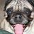 Neil Howk's profile image